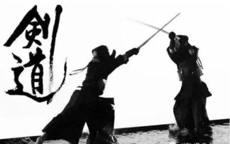 傳統武術保命，我們更專業
