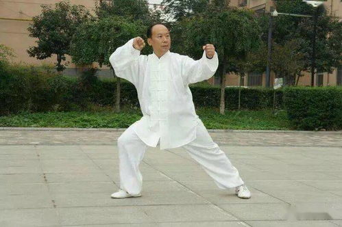 榮耀之光，致敬太極傳承人李海水