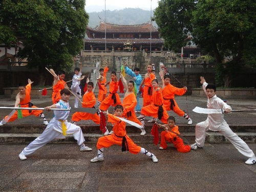 福建武術(shù) 從武藝到文化的精神傳承